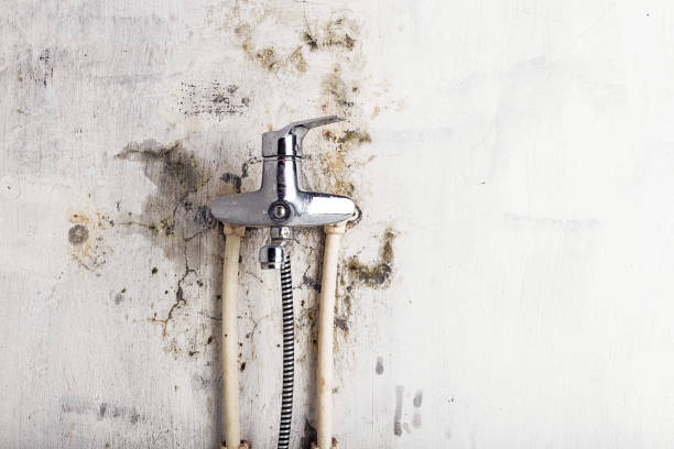 Best Mold Remediation for Specific Building Types in Warner Robins, GA