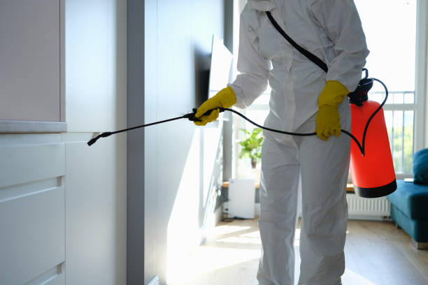 Best Kitchen Mold Remediation in Warner Robins, GA